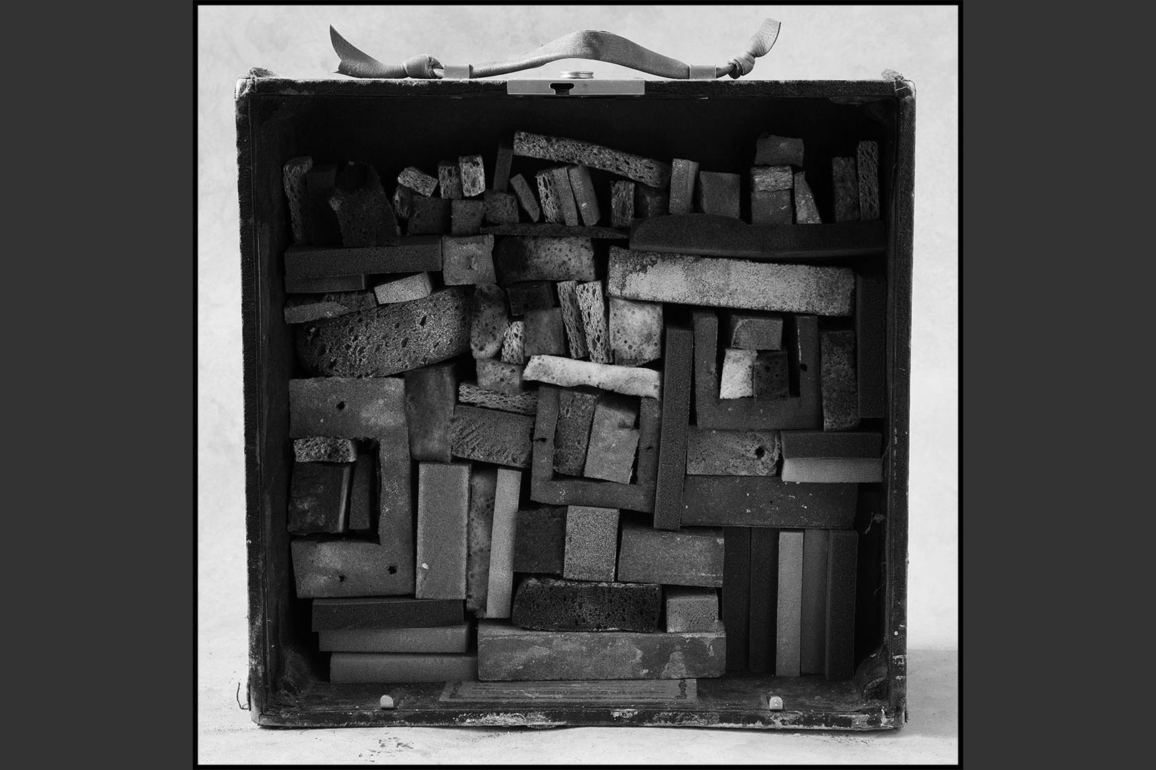 John Wilkins Sponge Boxes