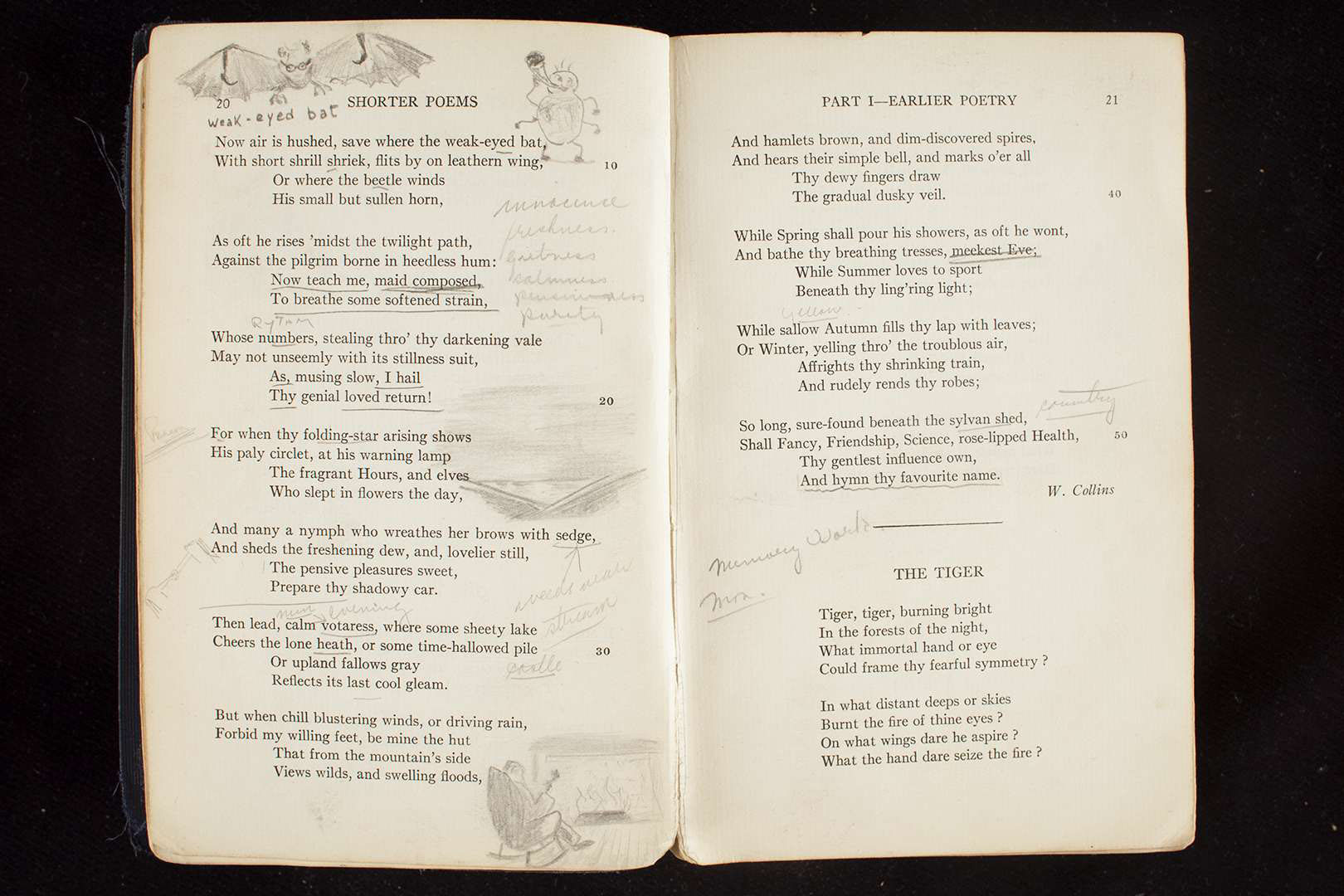 After Werner's Nomenclature of Colours 2005 by Arnaud Maggs